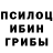 Галлюциногенные грибы Psilocybe coochman49